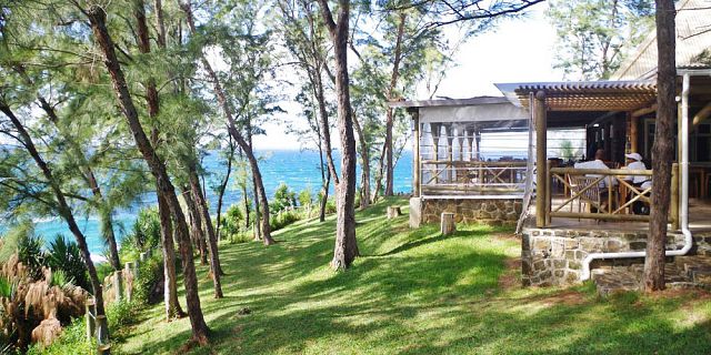 Exclusive day package swimming with dolphins lunch quad (7)